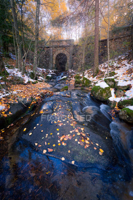 Malerische Landschaft der alten Steinbrücke über den Fluss mit felsigen Ufern im Herbstwald in der Sierra de Guadarrama in Spanien bei Tag — Stockfoto