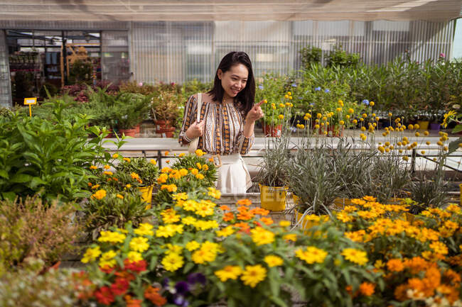 Cheerful young ethnic female shopper leaning forward while picking blossoming flowers in garden center — Stock Photo