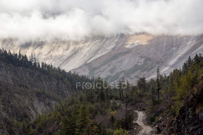 Landscape of rocky mountain slopes with evergreen trees growing on ridges covered with thick clouds in Nepal — Stock Photo