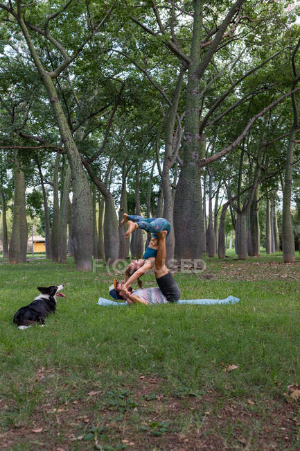 Вид збоку на гнучку пару в спортивному одязі, що практикує акройогу разом на килимку для йоги на траві проти дерев у парку вдень — стокове фото