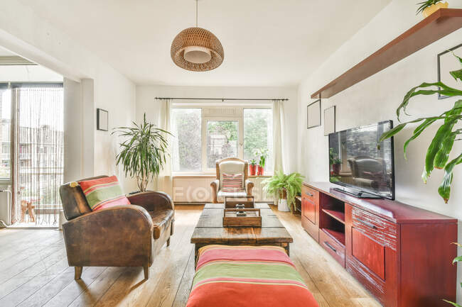 Intérieur du salon moderne avec fauteuils confortables et plantes vertes dans des pots de fleurs dans la maison conçue dans un style rustique — Photo de stock