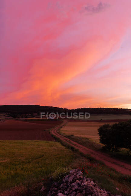Veduta panoramica del percorso tra campi agricoli con alberi sotto il cielo nuvoloso in campagna al tramonto — Foto stock
