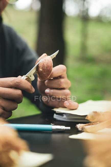 Врожай невизначена людина, що сидить за столом і ріже свіжий гриб проти зеленої трави в природі — стокове фото
