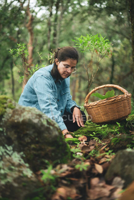 Femme dans les lunettes cueillette comestible champignon Ramaria à partir du sol recouvert de feuilles sèches tombées et mettre dans le panier en osier — Photo de stock