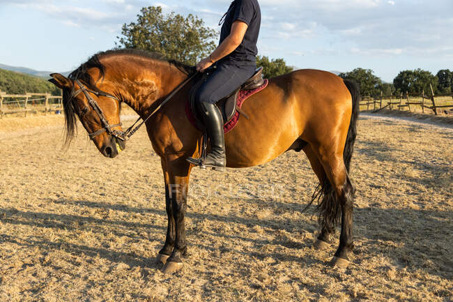 Cropped unrecognizable male riding stallion against stables of riding school in countryside — Stock Photo