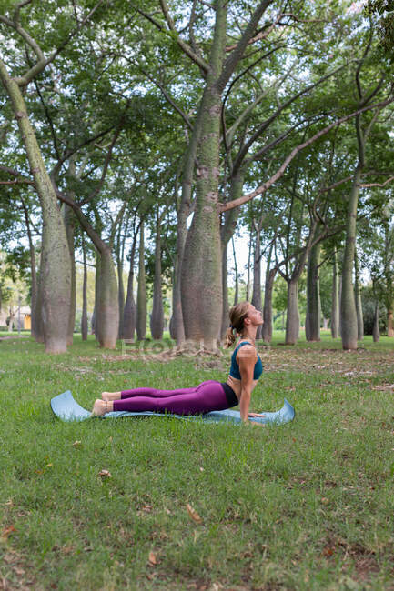 Seitenansicht einer fokussierten Frau in Aktivkleidung, die Urdhva Mukha Shvanasana durchführt, während sie tagsüber Yoga im grünen Park praktiziert — Stockfoto