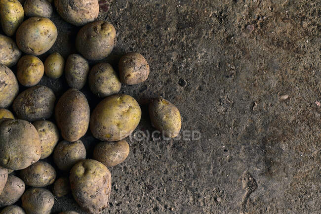Вид сверху крупным планом кучи картофеля на земле — стоковое фото