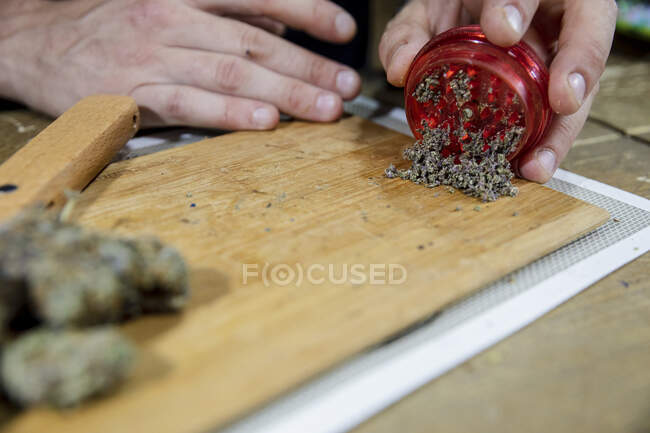 Faceless male with chopper putting dried ground hemp on cutting board in workspace on blurred background — Stock Photo