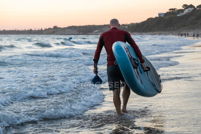 Back view of unrecognizable male surfer in wetsuit carrying paddle board while walking on seashore — Stock Photo