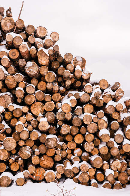 Pile di tronchi di legno sotto la neve nella valle collinare invernale sotto il cielo nuvoloso — Foto stock