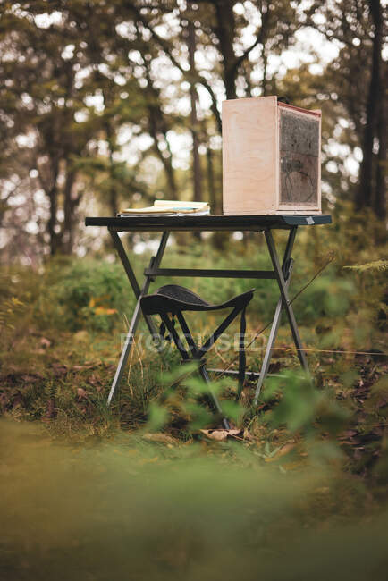 Documento di carta sul tavolo vicino all'essiccatore portatile per funghi nella foresta con foglie secche cadute — Foto stock