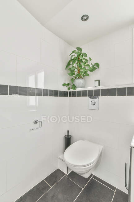 Limpiar pequeño inodoro en baño de luz paredes de baldosas blancas en apartamento moderno - foto de stock