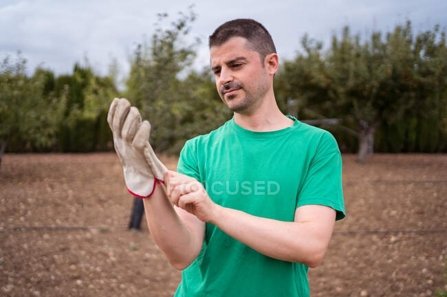 Adult male horticulturist in t shirt putting on glove on terrain against trees in daytime — Stock Photo