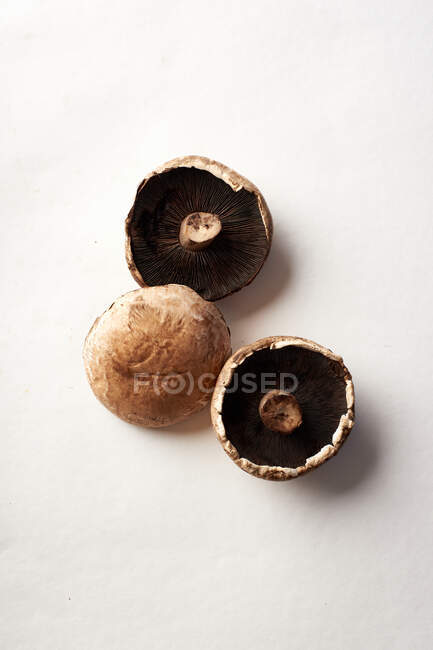 Top view of portobello mushrooms. Forest harvest concept — Stock Photo