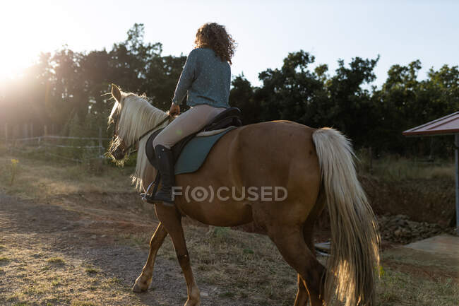 Back view of unrecognizable female riding stallion with smooth brown coat on rough land against mount in countryside — Stock Photo