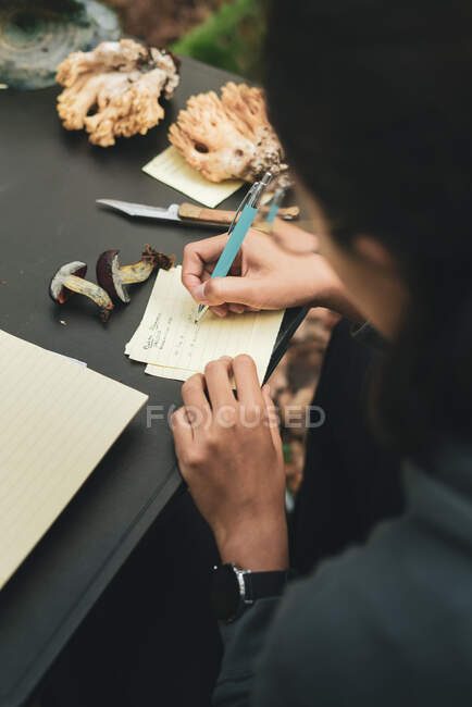 Alto ângulo de cultura anônimo micologista feminino escrevendo na folha de papel nome do cogumelo Boletus pinophillus — Fotografia de Stock