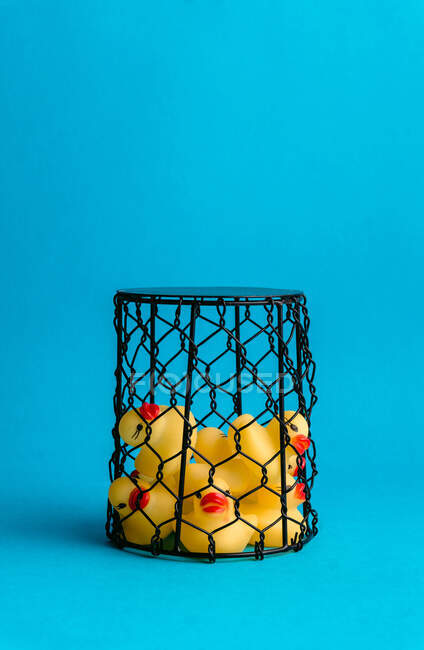 Set of cute rubber ducklings toys placed inside wire basket on bright blue background — Stock Photo