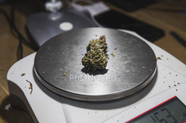 Bilance per pesare con marijuana secca boccioli floreali sul tavolo in camera su sfondo sfocato — Foto stock