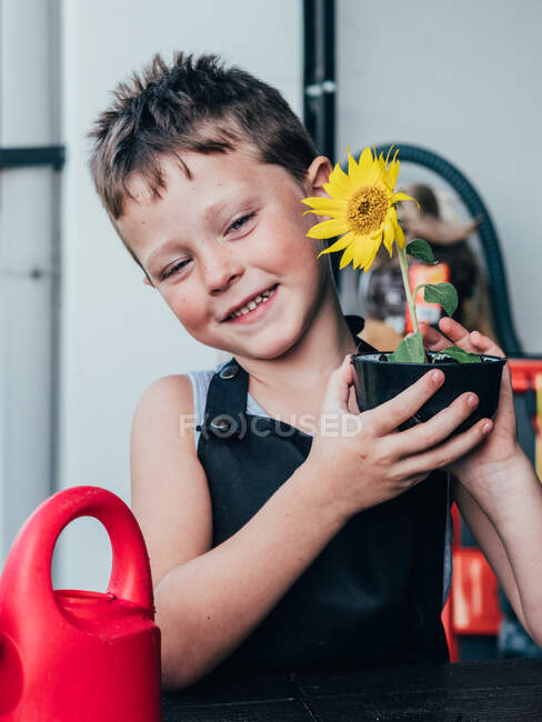 Glücklicher kleiner Junge in Schürze demonstriert Topf mit kleiner blühender Sonnenblume im hellen Raum am Tag — Stockfoto