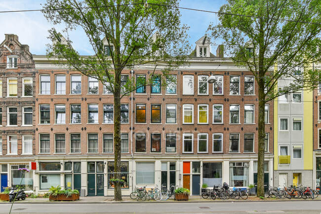 Выдержанный дом снаружи против проезжей части и припаркованные велосипеды между заросшими деревьями в дневное время в Амстердаме Голландия — стоковое фото