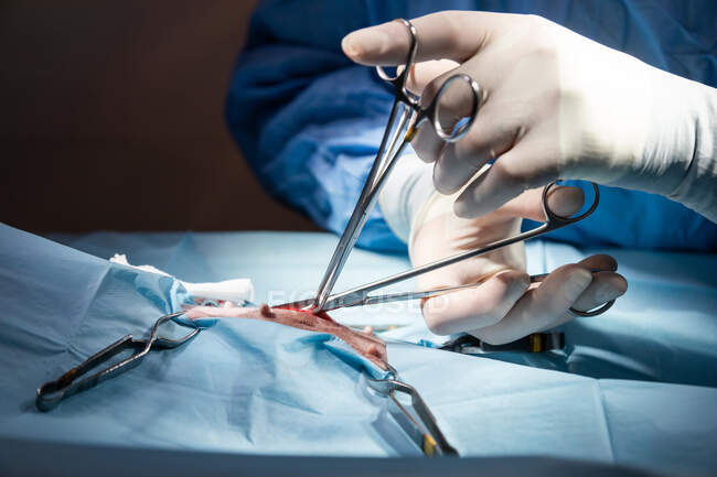 Chirurgien des cultures en uniforme faisant fonctionner sous lampe dans la salle d'opération — Photo de stock