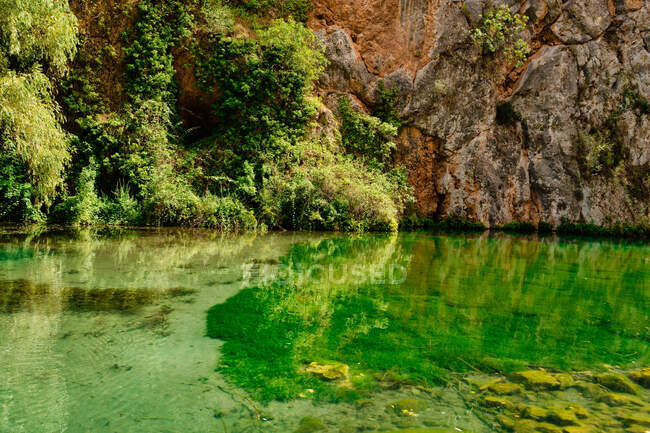 Lago com águas transparentes cercado por vegetação em um dia ensolarado — Fotografia de Stock