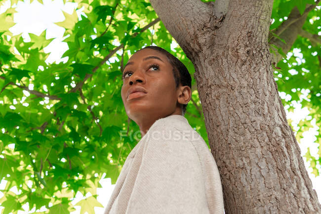 Von unten blickt eine nachdenkliche Afroamerikanerin mit kurzen Haaren weg, während sie in der Nähe eines Baumstammes mit grünen Ästen im Park steht — Stockfoto
