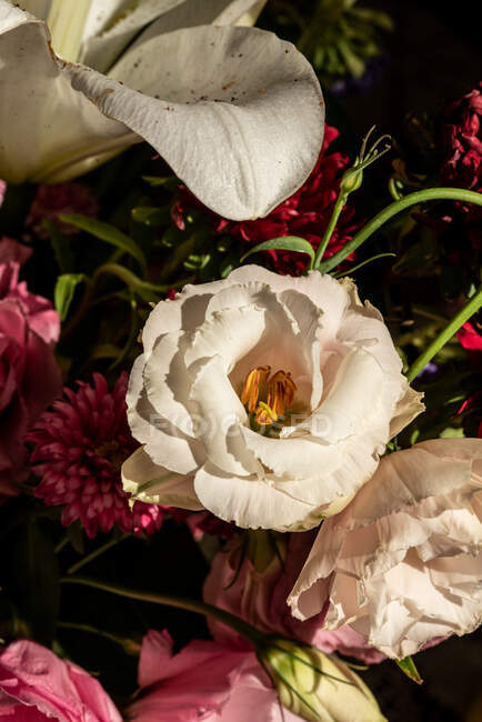 Ramo de flores frescas incluyendo lirios blancos eustoma y aster en jarrón de vidrio al sol - foto de stock