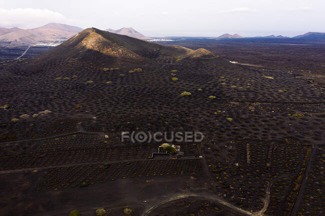 Vista drone de vinhas que crescem em poços contra altas montagens secas e estradas em Geria Lanzarote Ilhas Canárias Espanha — Fotografia de Stock