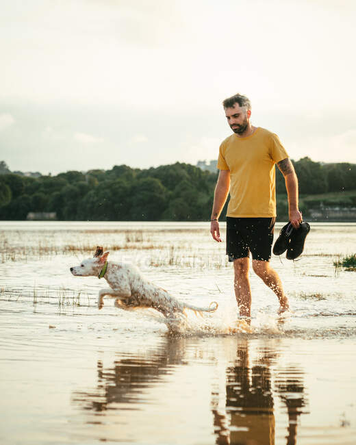 Повне тіло чоловіка-власника з черевиками в руках, що ходять у воді біля пробіжної собаки в літній день у природі — стокове фото