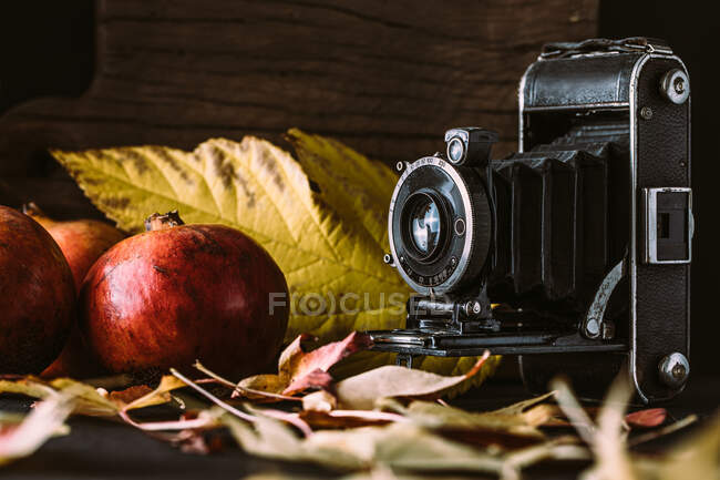 Composition made of old fashioned photo camera placed near dry autumn leaves and pomegranate — Stock Photo