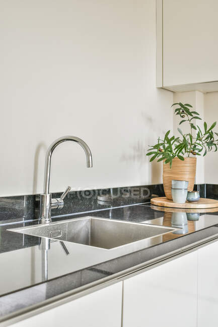 Shiny metal sink with chrome tap installed near potted plant in contemporary kitchen — Stock Photo