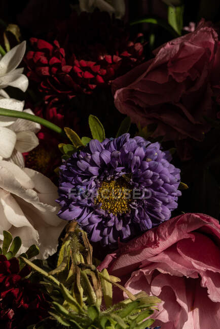 Bouquet of fresh flowers including white lilies eustoma and aster in glass vase at sunshine — Stock Photo