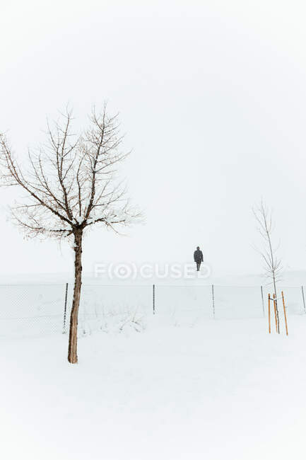 Незнайома людина, що стоїть на сніговій галявині біля паркану і безлисті дерева в туманний зимовий день у Мадриді. — стокове фото