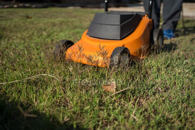 From above modern yellow lawn mower driving and cutting green grass on sunny summer day in yard — Stock Photo