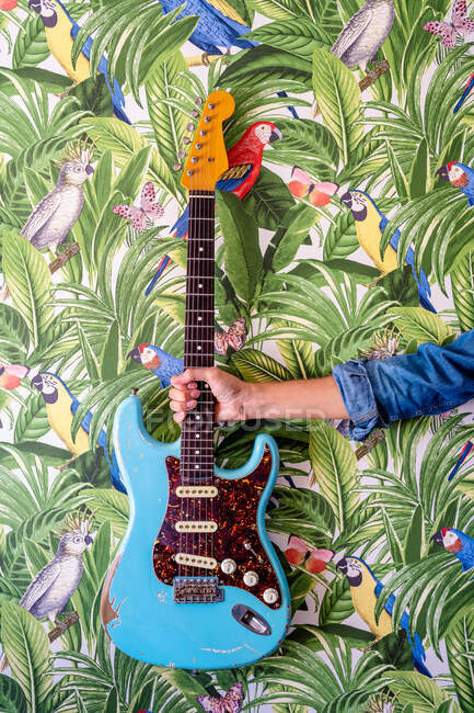 Невпізнаваний культуролог, який показує електричну гітару проти яскравих картин листя і папуг на стіні — стокове фото