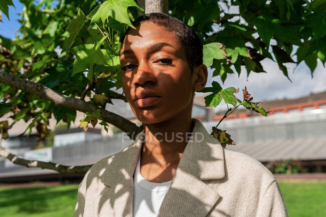 Mulher afro-americana séria com cabelo curto olhando para a câmera enquanto estava perto de galhos de árvores exuberantes com folhas verdes na rua ensolarada — Fotografia de Stock