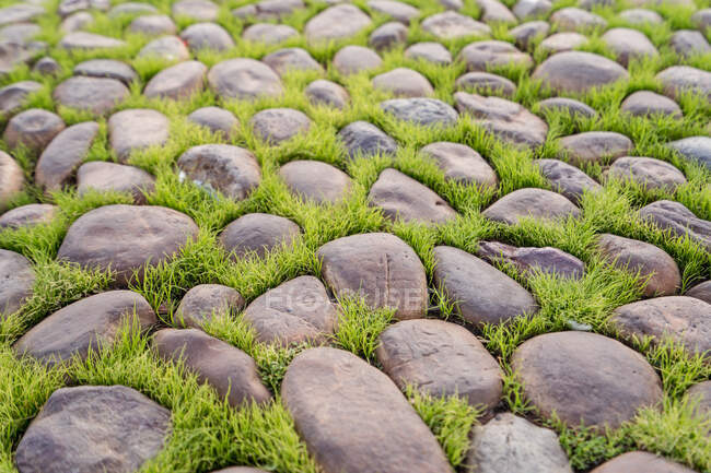 Fresh green grass growing through abundance of stones on pavement in street of Cordoba town in Spain on summer day — Stock Photo