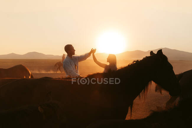Vista lateral de pareja romántica sosteniendo y levantando las manos en un vasto terreno montañoso con manada de caballos por la noche - foto de stock