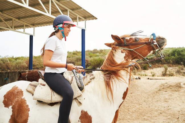 Vista lateral da menina em capacete e roupa casual sentado em sela a cavalo com freio no prado arenoso perto de grama na natureza à luz do dia — Fotografia de Stock