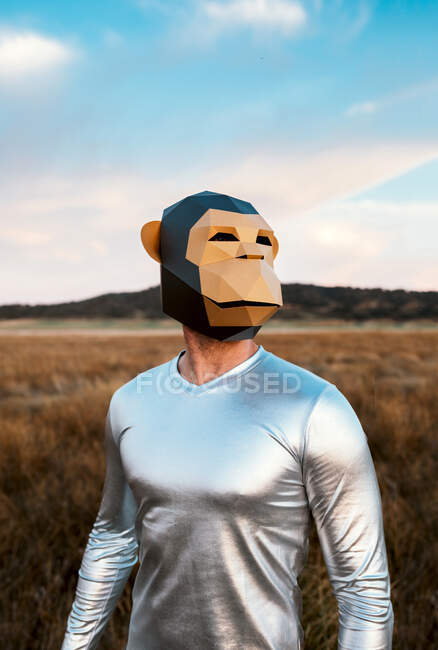 Anonymous person in geometric monkey mask looking away in yellow field on blurred background — Stock Photo