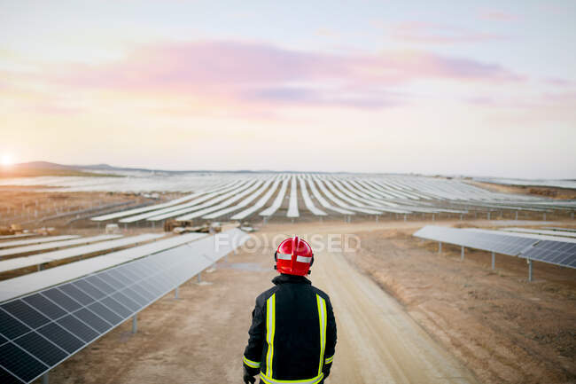 Vista posterior de una persona anónima que usa casco rojo y ropa protectora mientras está de pie en el campo con paneles de energía solar en un día soleado - foto de stock