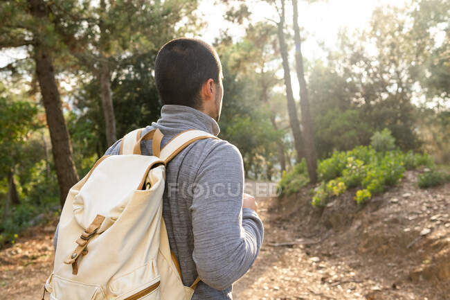 Rückansicht eines bis zur Unkenntlichkeit bärtigen männlichen Wanderers in Freizeitkleidung und Rucksack, der an einem sonnigen Tag beim Trekking im grünen Wald steht — Stockfoto