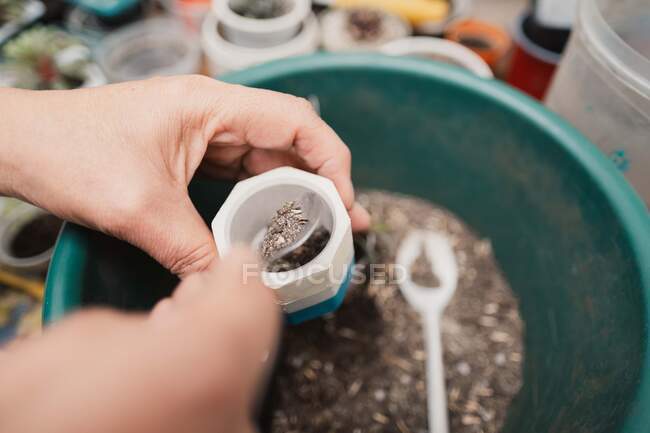 De dessus du jardinier anonyme de culture remplissant le petit pot de terre sèche avant de planter la plante succulente — Photo de stock