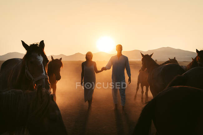 Full body of unrecognizable couple walking on rural field while holding hands near horses against sky at sunset and ridge — Stock Photo