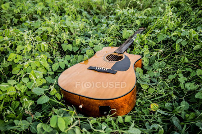 Акустична гітара розміщена на зеленій траві, що росте в природі під час денного світла — стокове фото