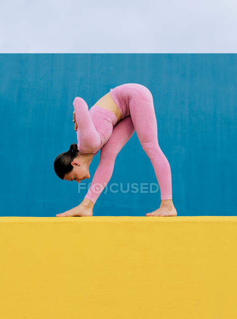 Vista lateral de la hembra en forma de ropa deportiva rosa practicando yoga  en pose Standing Forward Bend sobre fondo azul y amarillo — curva hacia  adelante, Activo - Stock Photo | #528088496