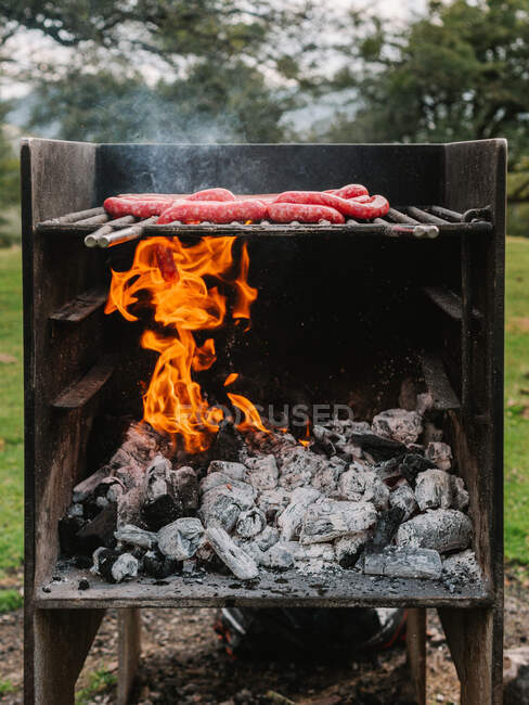 Various types of tasty sausages roasting on grill grate above charcoal in countryside during barbecue in countryside on summer day — Stock Photo