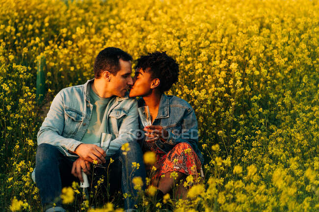 Aimer les jeunes couples multiraciaux en vêtements décontractés embrasser et boire du champagne tout en étant assis dans une prairie luxuriante pendant la date romantique le jour ensoleillé — Photo de stock