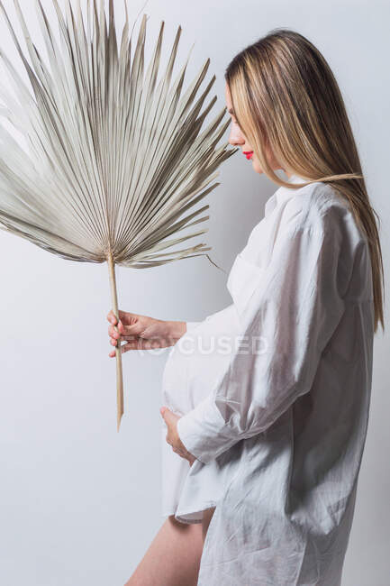 Боковой вид нежной беременной женщины в белой рубашке, обнимающей животик, стоя с сухой ветвью пальмы — стоковое фото